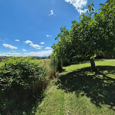 Βίλα Casa Lucciola Con Piscina Privata Francavilla dʼEte